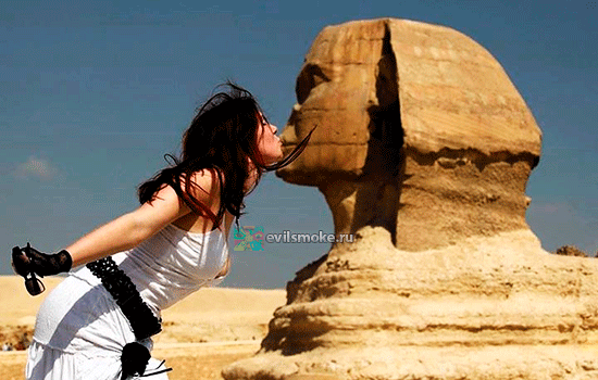foto-kurenie-v-egipte-zaklyuchenie