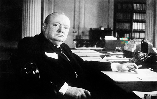 Фото - Churchill за столом