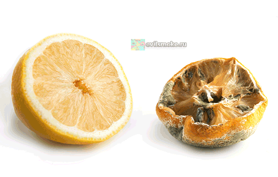 Фото - Спелый и гнилой лимон